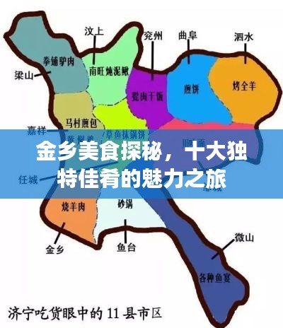 金乡美食探秘，十大独特佳肴的魅力之旅