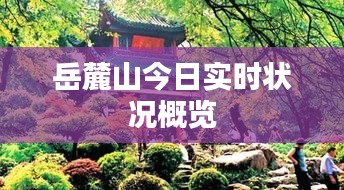 岳麓山今日实时状况概览