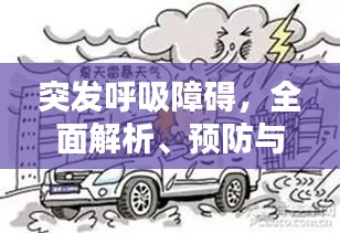 突发呼吸障碍，全面解析、预防与紧急应对措施