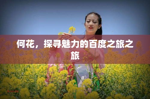 何花，探寻魅力的百度之旅之旅
