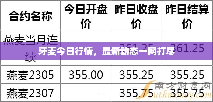 牙麦今日行情，最新动态一网打尽