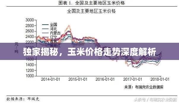独家揭秘，玉米价格走势深度解析
