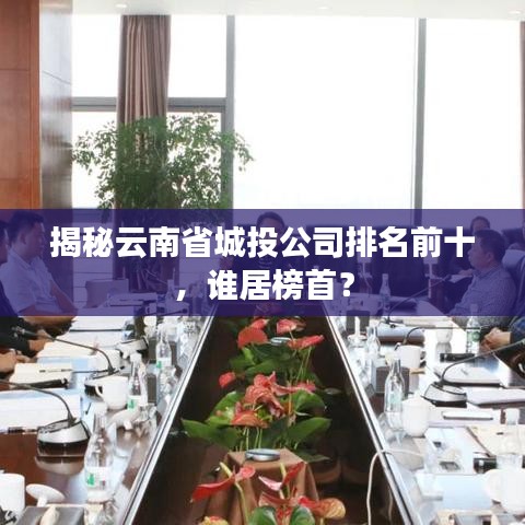 揭秘云南省城投公司排名前十，谁居榜首？