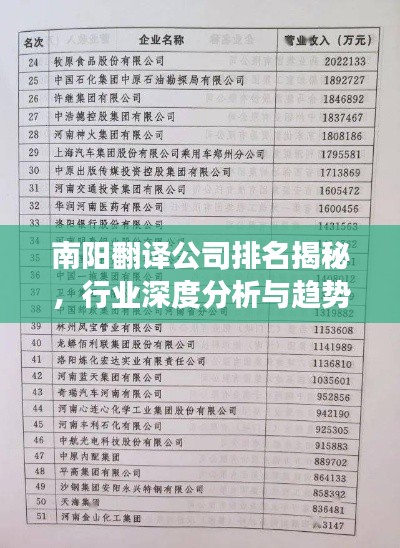 南阳翻译公司排名揭秘，行业深度分析与趋势解读