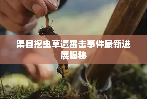 渠县挖虫草遭雷击事件最新进展揭秘