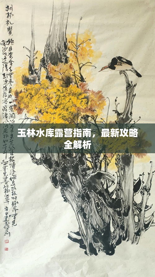 玉林水库露营指南，最新攻略全解析