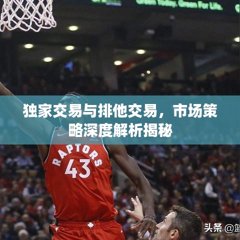 独家交易与排他交易，市场策略深度解析揭秘