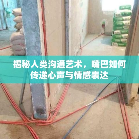 揭秘人类沟通艺术，嘴巴如何传递心声与情感表达