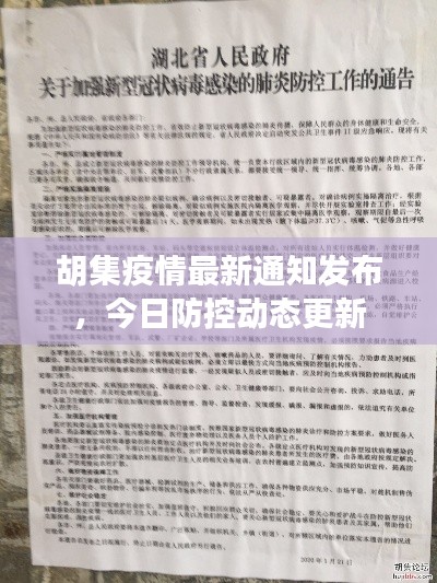 胡集疫情最新通知发布，今日防控动态更新