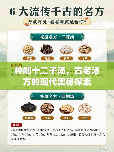 种嗣十二子汤，古老汤方的现代奥秘探索