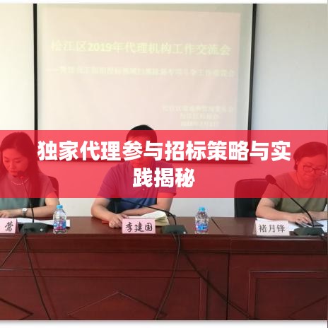 独家代理参与招标策略与实践揭秘