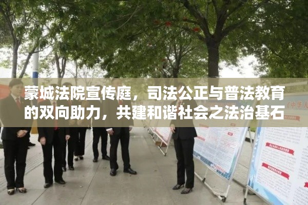 蒙城法院宣传庭，司法公正与普法教育的双向助力，共建和谐社会之法治基石