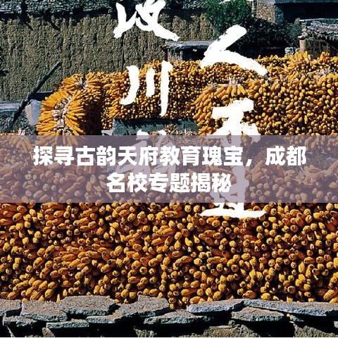 探寻古韵天府教育瑰宝，成都名校专题揭秘
