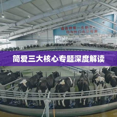 简爱三大核心专题深度解读