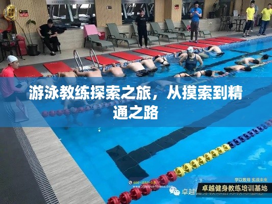 游泳教练探索之旅，从摸索到精通之路