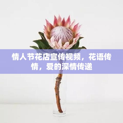 情人节花店宣传视频，花语传情，爱的深情传递