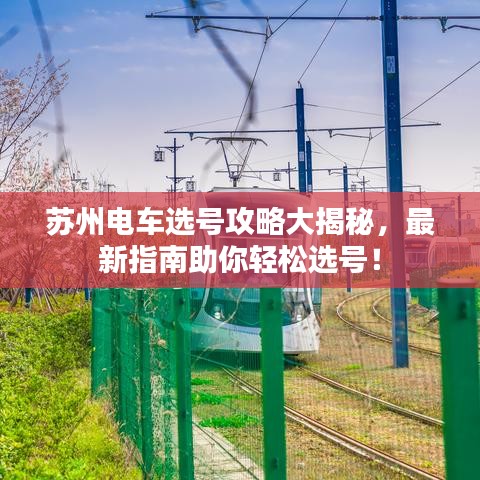 贵耳贱目