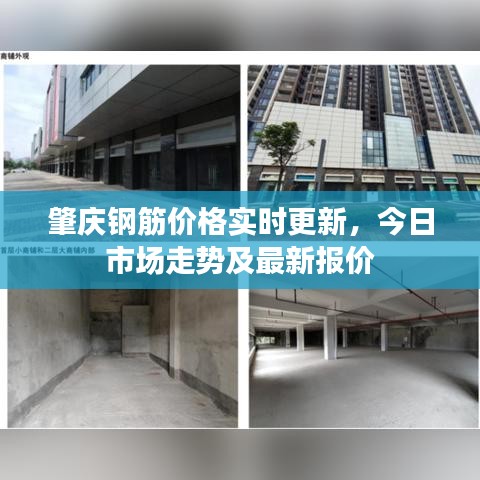 肇庆钢筋价格实时更新，今日市场走势及最新报价