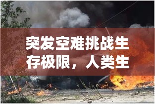 突发空难挑战生存极限，人类生存的悲剧瞬间