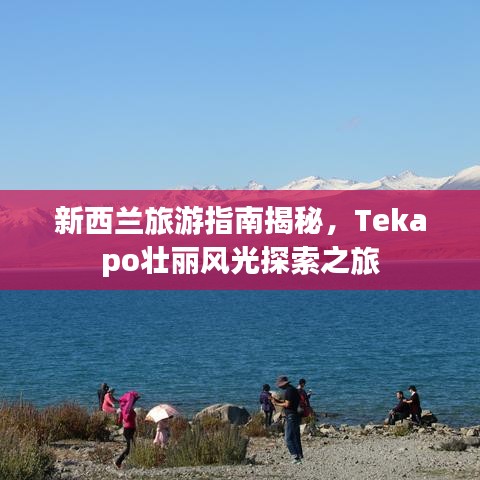 新西兰旅游指南揭秘，Tekapo壮丽风光探索之旅