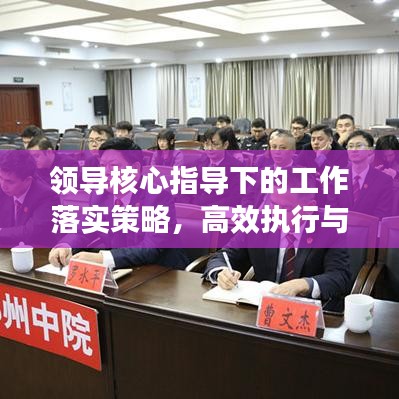 领导核心指导下的工作落实策略，高效执行与成果优化之道