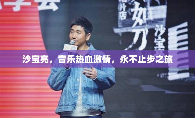 沙宝亮，音乐热血激情，永不止步之旅