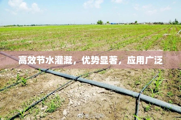 高效节水灌溉，优势显著，应用广泛