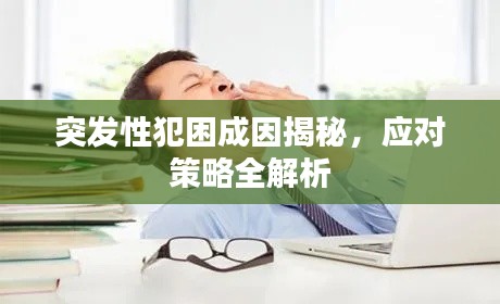 突发性犯困成因揭秘，应对策略全解析