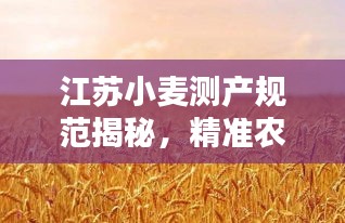 尽心尽力