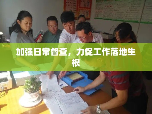 加强日常督查，力促工作落地生根