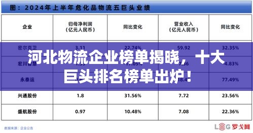 河北物流企业榜单揭晓，十大巨头排名榜单出炉！