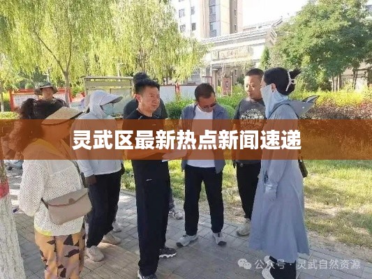 灵武区最新热点新闻速递