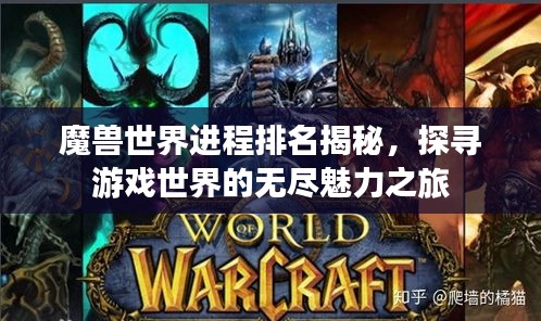 魔兽世界进程排名揭秘，探寻游戏世界的无尽魅力之旅