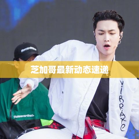 芝加哥最新动态速递