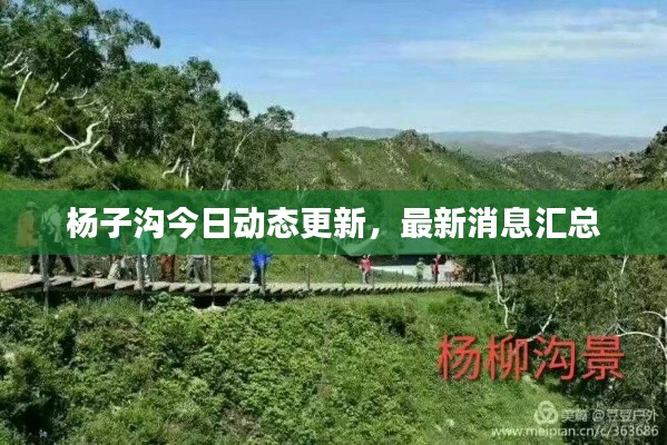 杨子沟今日动态更新，最新消息汇总
