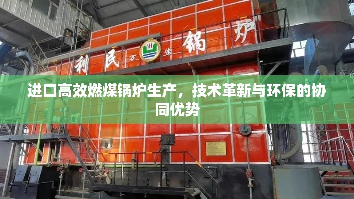 进口高效燃煤锅炉生产，技术革新与环保的协同优势