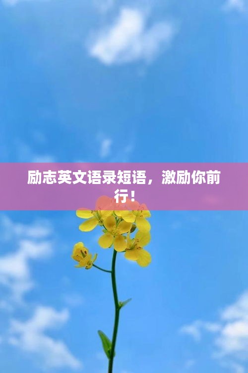 励志英文语录短语，激励你前行！