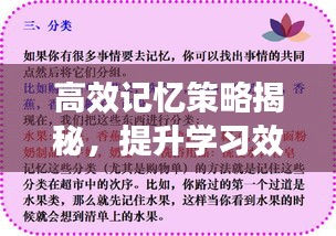 高效记忆策略揭秘，提升学习效果的秘诀法宝！
