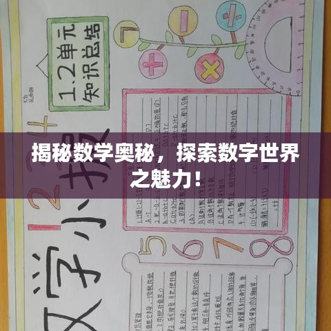 揭秘数学奥秘，探索数字世界之魅力！