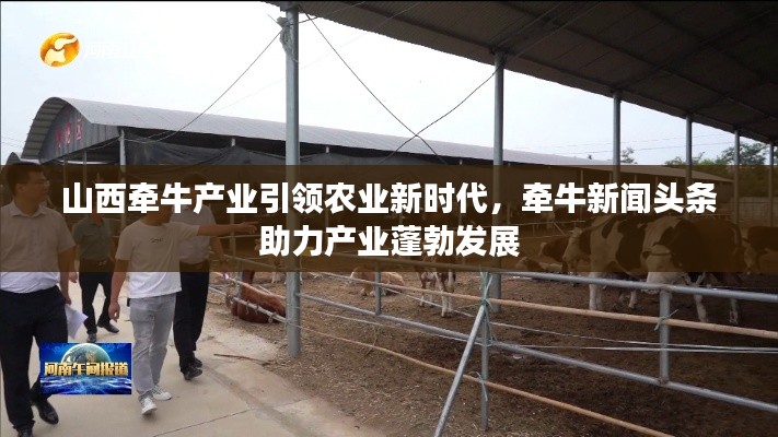 山西牵牛产业引领农业新时代，牵牛新闻头条助力产业蓬勃发展