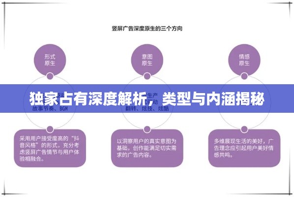 独家占有深度解析，类型与内涵揭秘