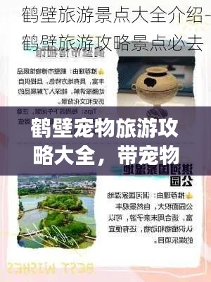鹤壁宠物旅游攻略大全，带宠物的旅行指南最新版