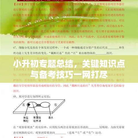 小升初专题总结，关键知识点与备考技巧一网打尽