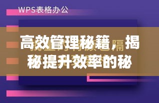 高效管理秘籍，揭秘提升效率的秘诀与策略，助你事业腾飞！