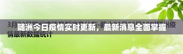 随洲今日疫情实时更新，最新消息全面掌握