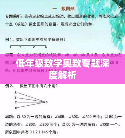 低年级数学奥数专题深度解析