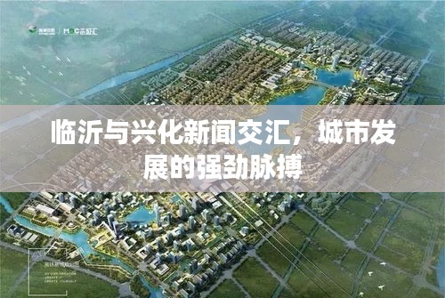 临沂与兴化新闻交汇，城市发展的强劲脉搏