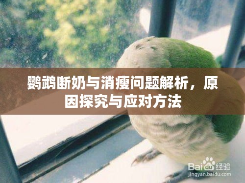 关于订购 第9页