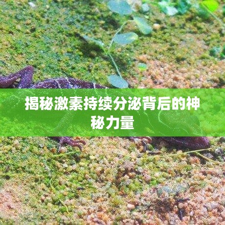 揭秘激素持续分泌背后的神秘力量