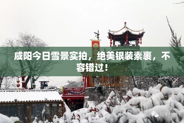 咸阳今日雪景实拍，绝美银装素裹，不容错过！